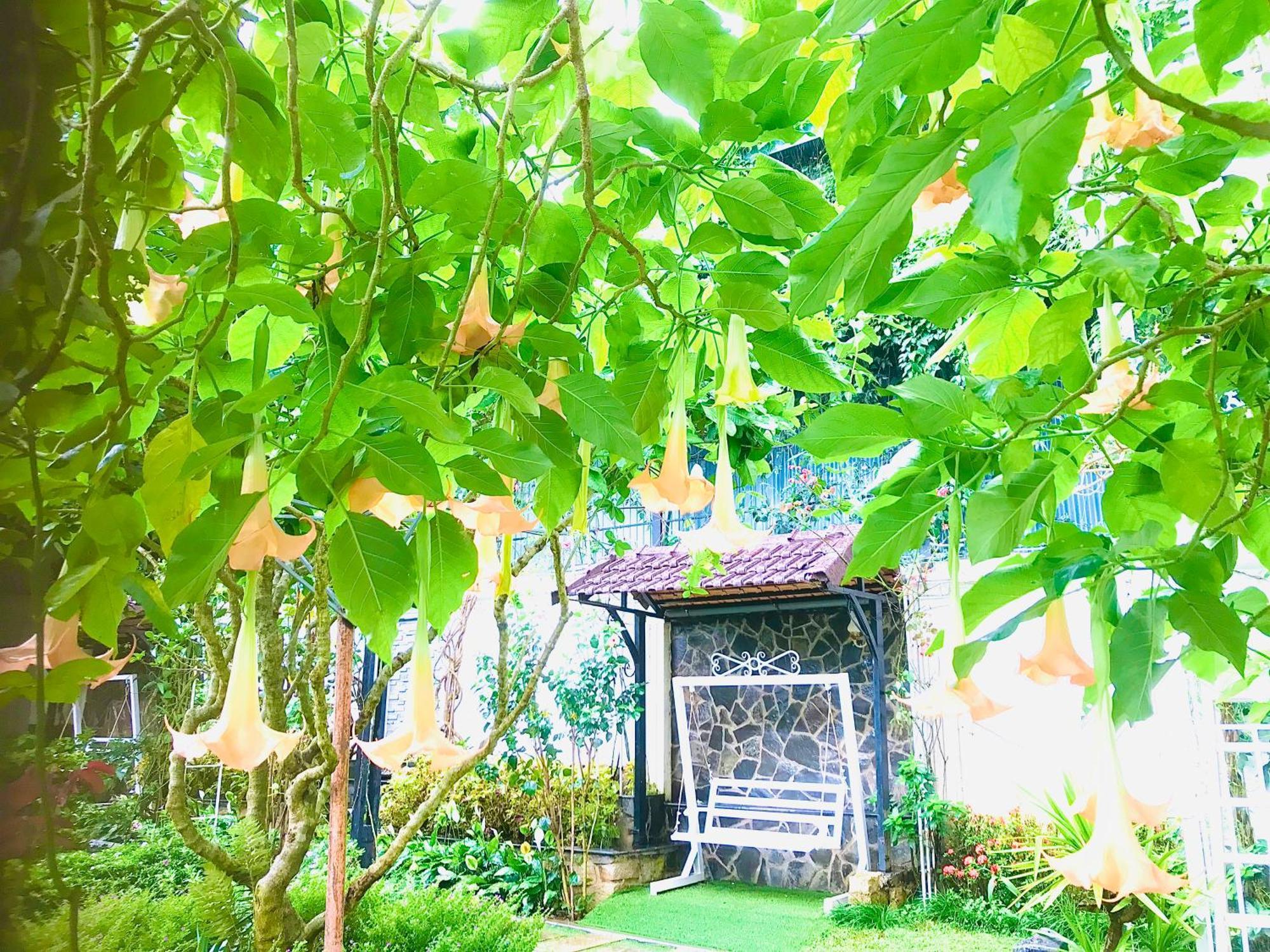 Hotel Hoa NáNg Bảo Lộc Kültér fotó