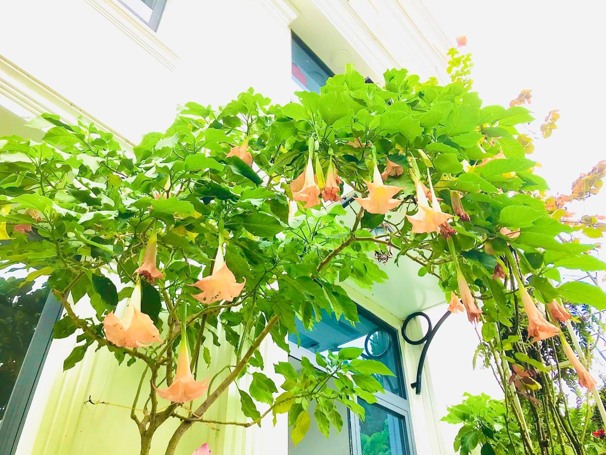 Hotel Hoa NáNg Bảo Lộc Kültér fotó