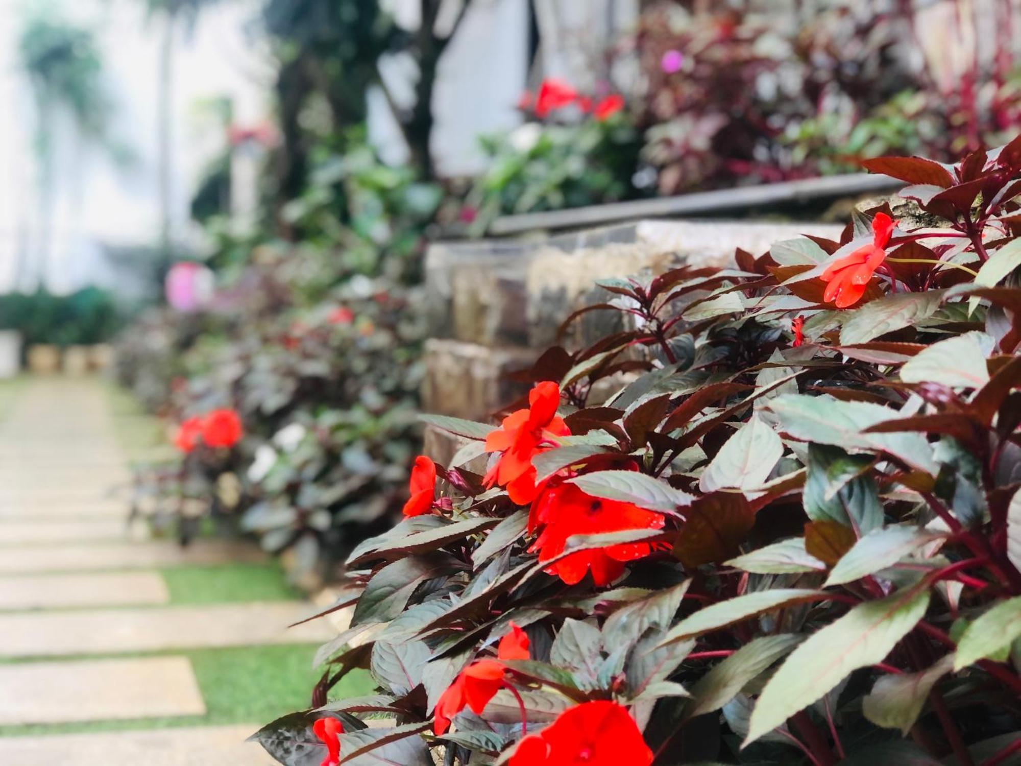 Hotel Hoa NáNg Bảo Lộc Kültér fotó