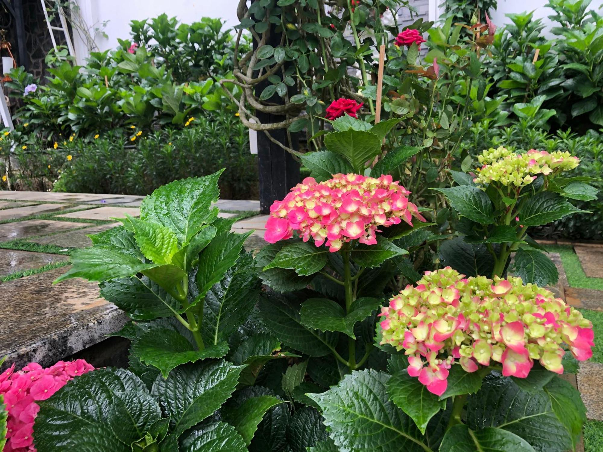 Hotel Hoa NáNg Bảo Lộc Kültér fotó
